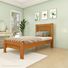 AMBIENTE-CINAMOMO-SAFIRA-SOLT