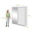 Guarda-Roupa-Zeine-2-Portas-de-Correr-e-Espelho---Moveis-Lopas